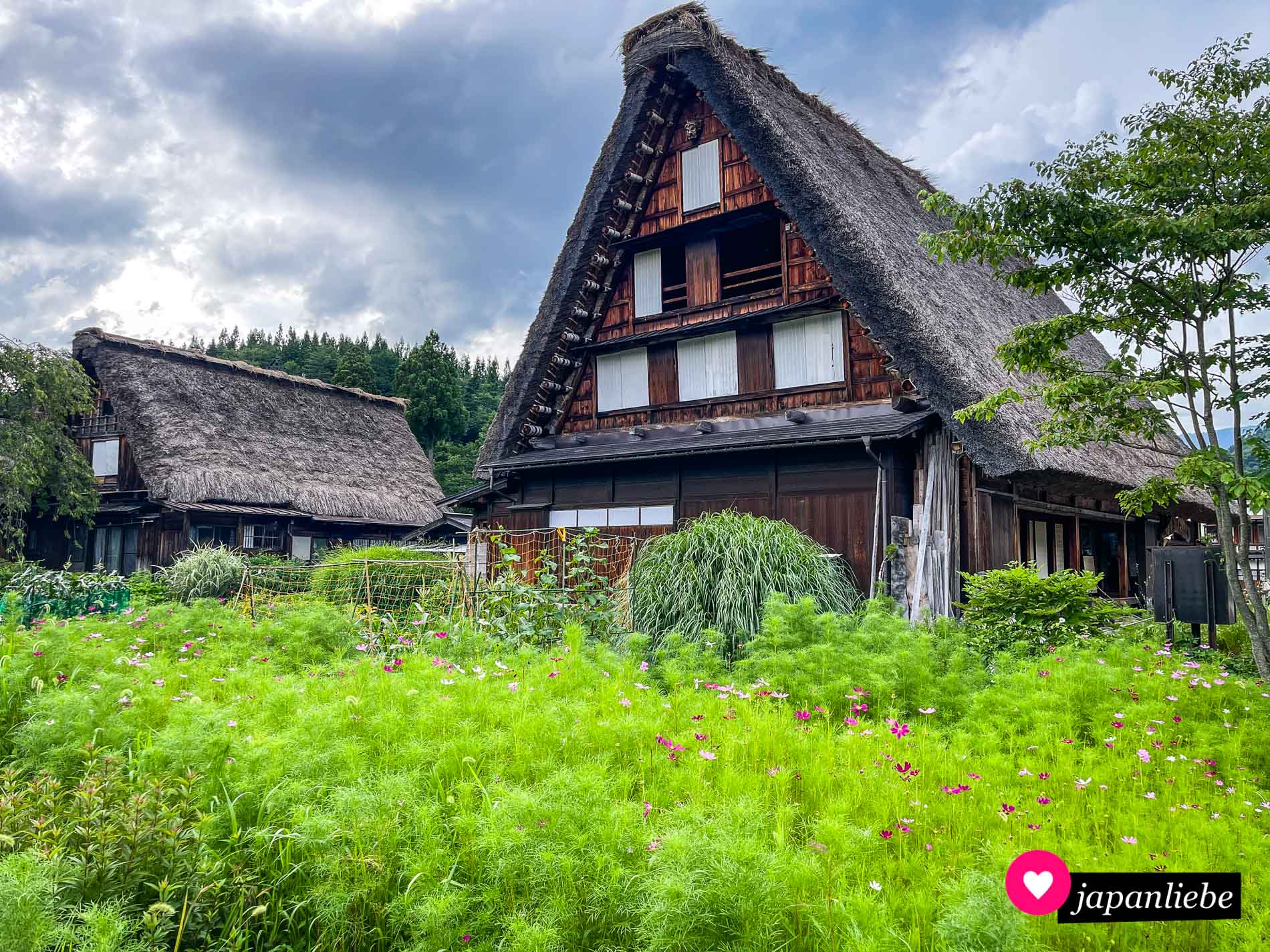 In den Sommermonaten ist es herrlich farbenfroh in Shirakawa-gō.