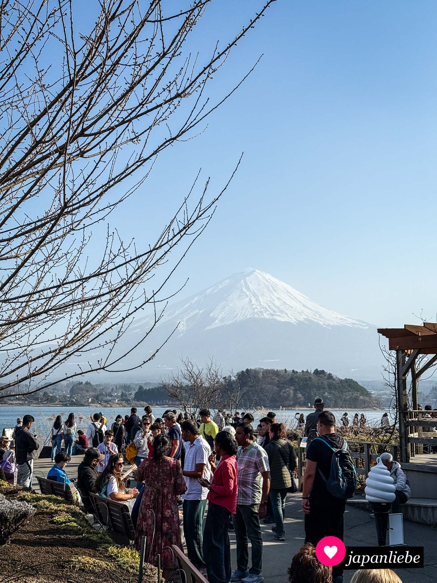 Der Oishi Park ist ein beliebter Ort, um den Fuji zu fotografieren.