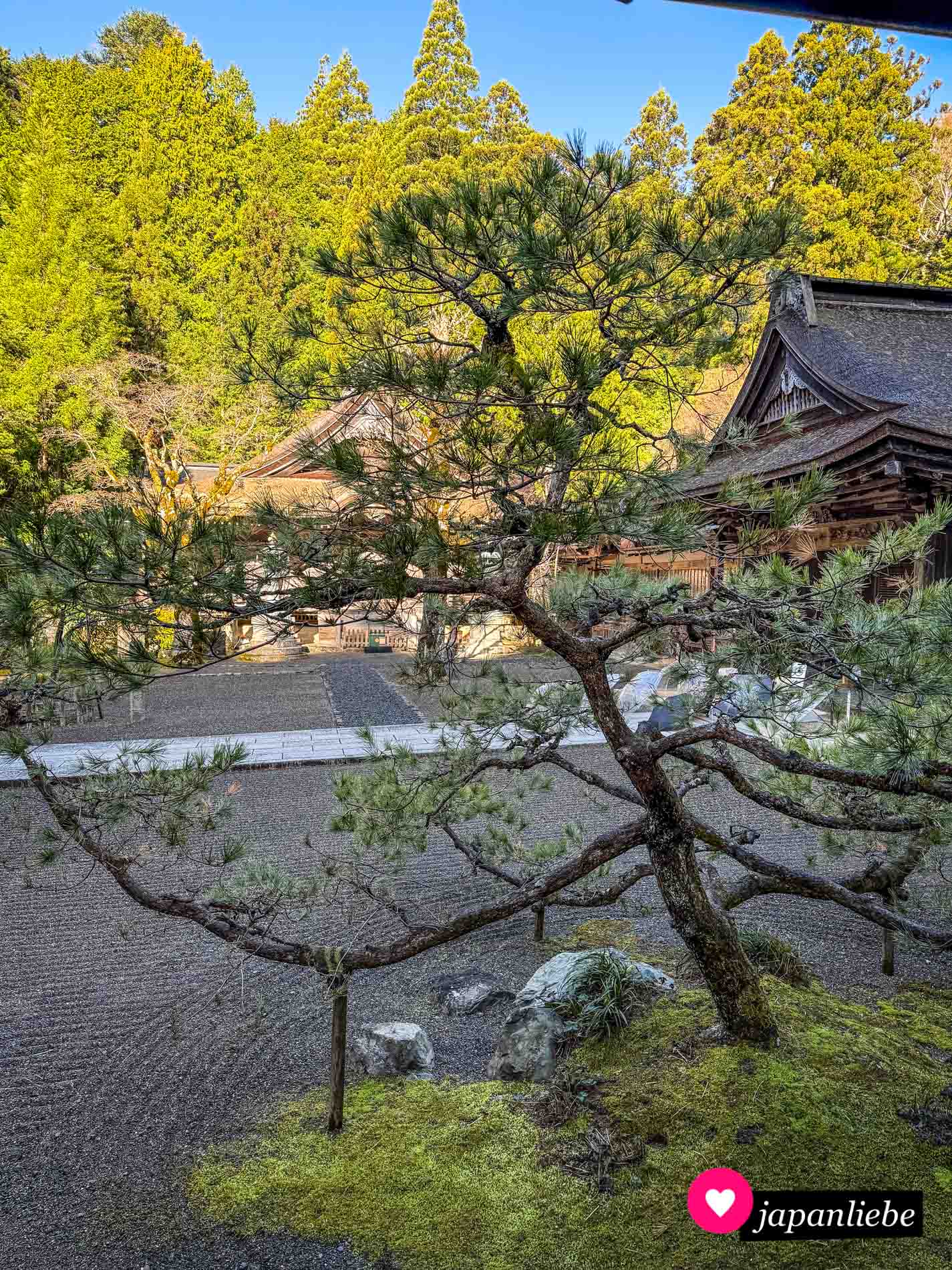 Der wie ein Zen-Garten gerechte Vorhof des Tempels in der klirrenden Morgenkälte.