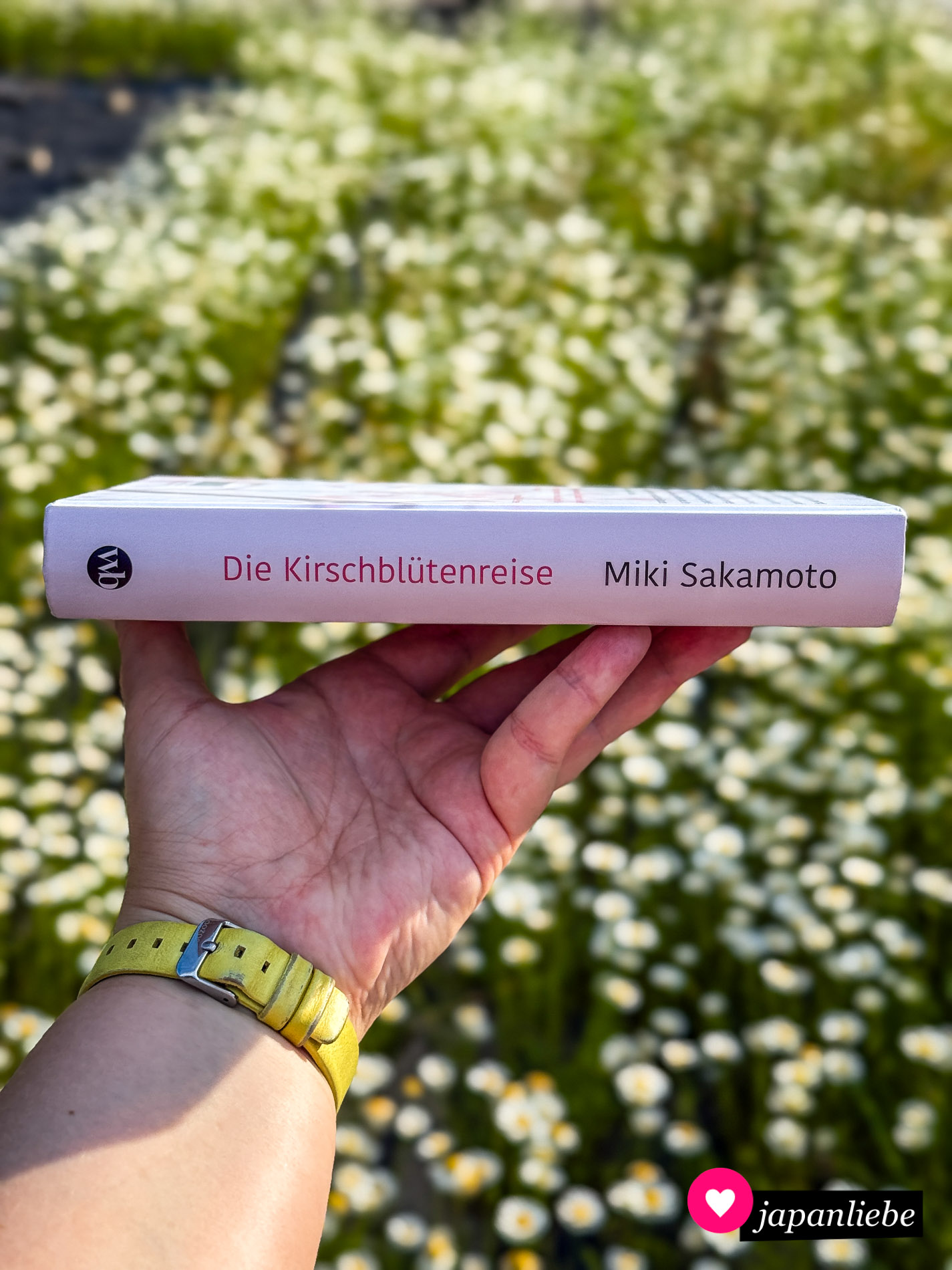 „Die Kirschblütenreise“ von Miki Sakamoto ist ein 360-Seiten-Schmöker.