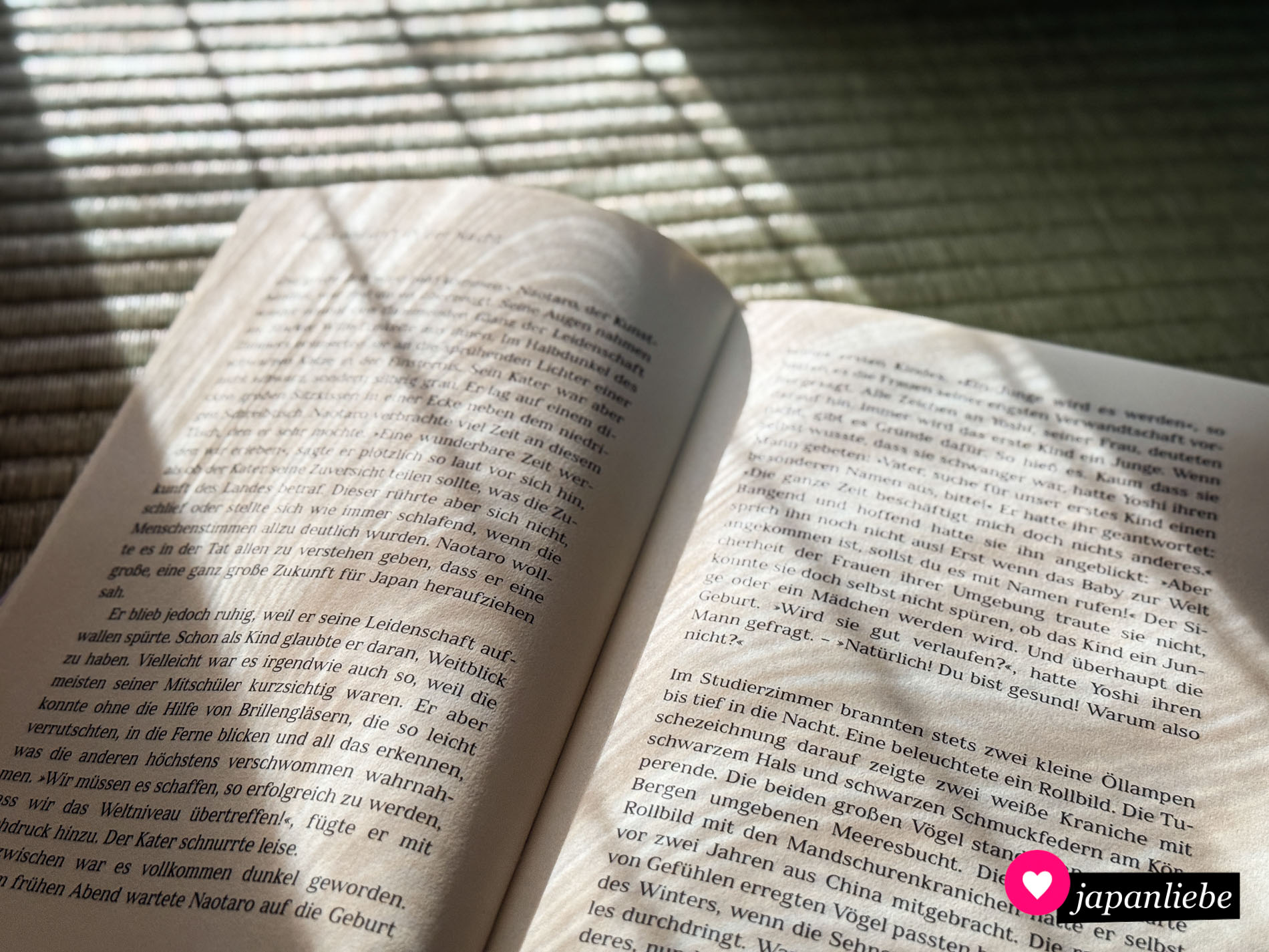 Das Buch ist die passende Lektüre für die Übernachtung in einer traditionellen japanischen Unterkunft mit Tatami-Fußboden.